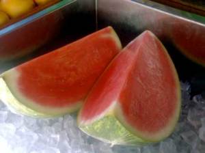 watermelon31
